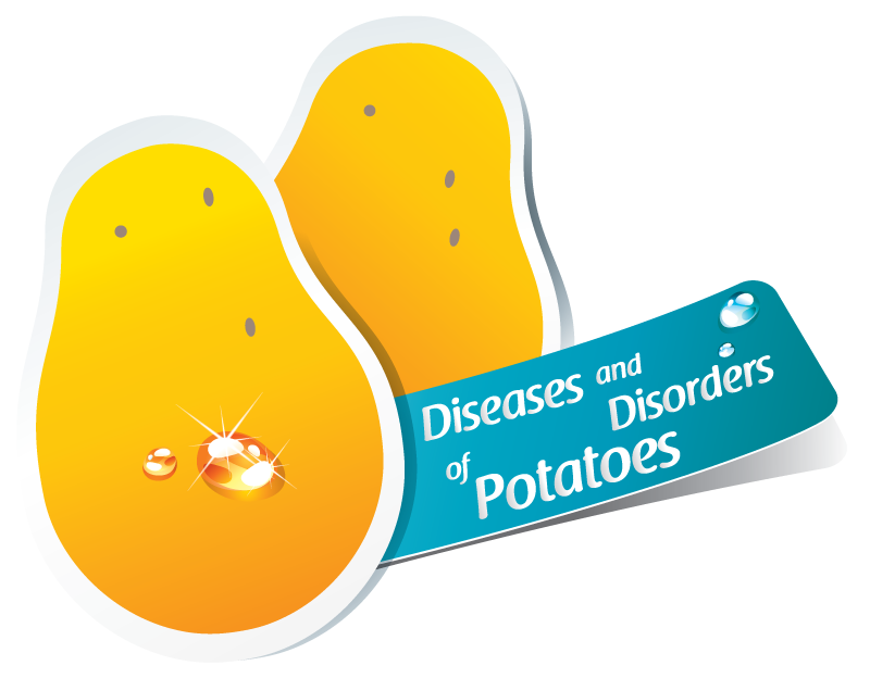 Diseases and Disorders of Potatoes